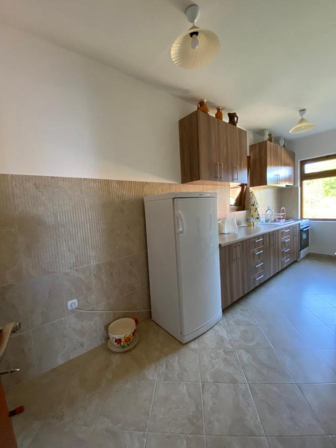 Guest House Radoman Virpazar Esterno foto